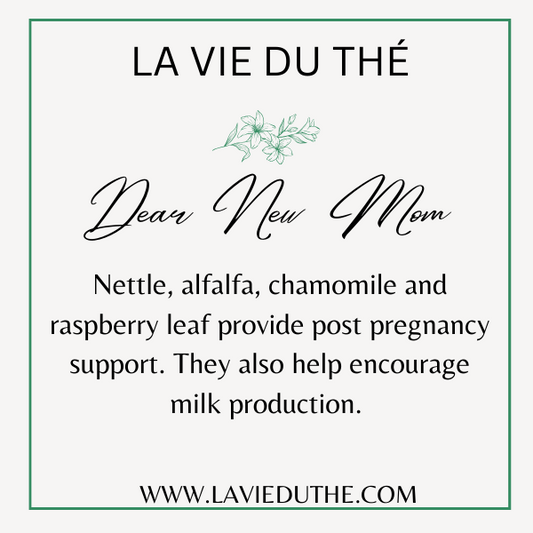 Dear New Mom